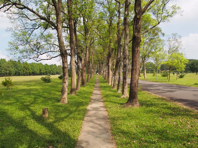 PA130524.jpg