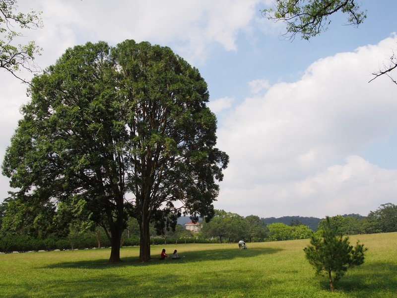 PA130525.jpg