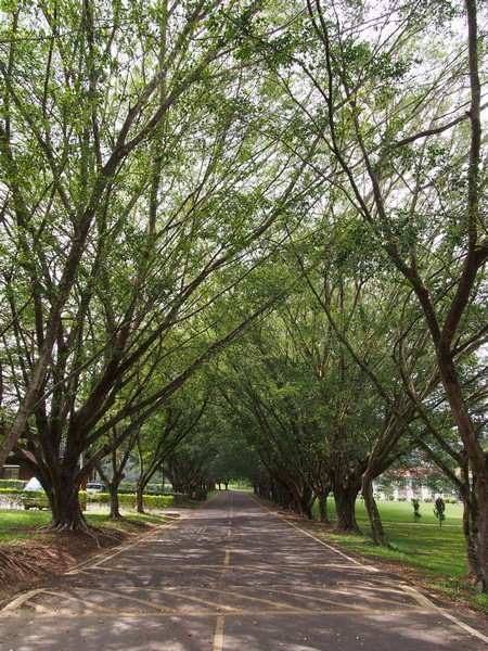 PA130546.jpg