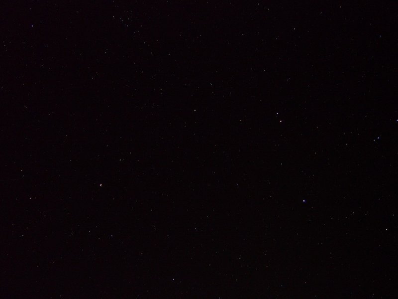 P1010008.jpg