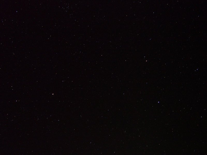 P1010009.jpg
