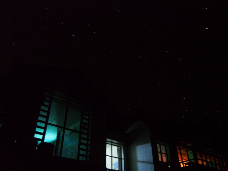 P1010010.jpg