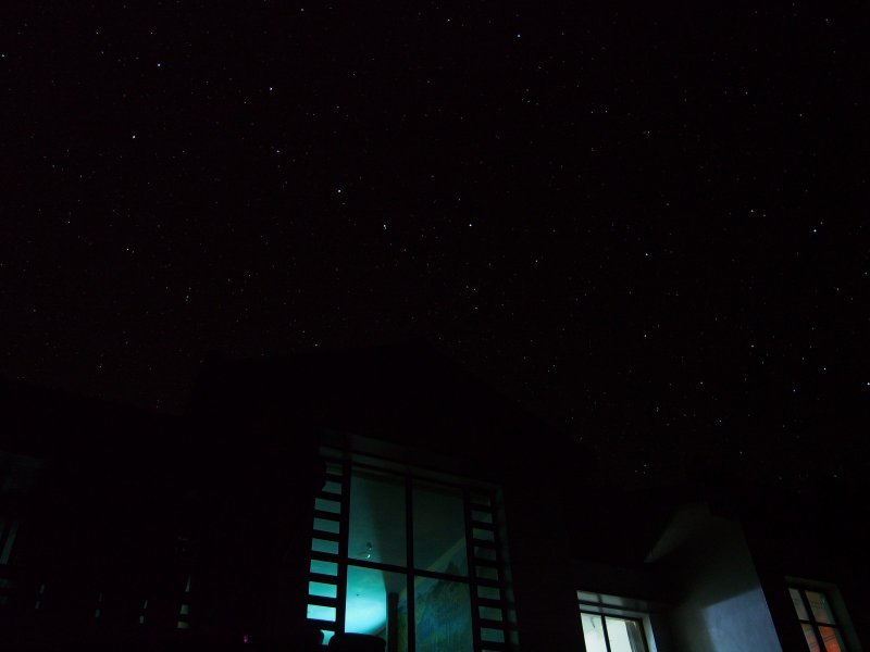 P1010011.jpg