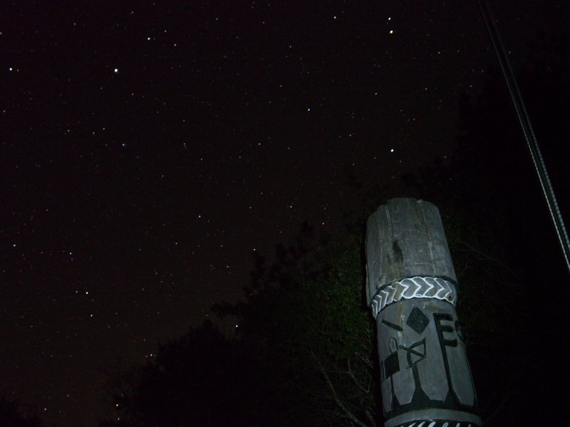 P1010015.jpg