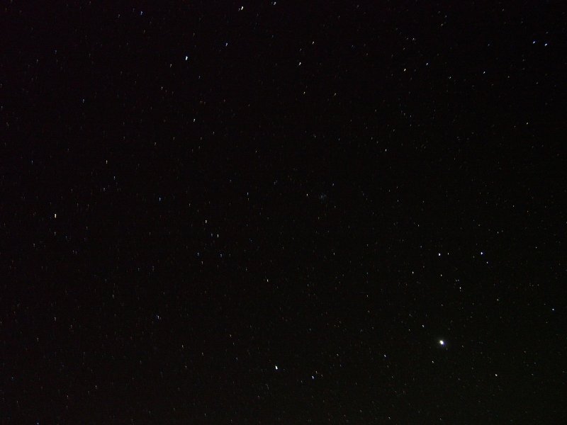 P1010017.jpg