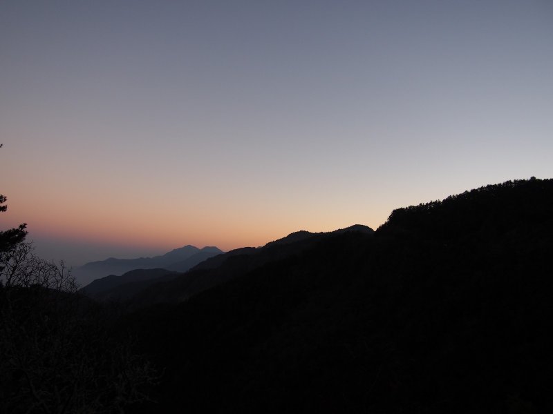 P1010031.jpg