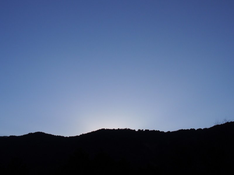 P1010058.jpg