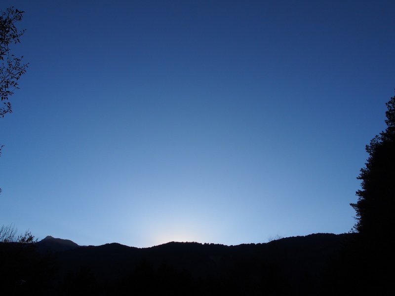 P1010059.jpg