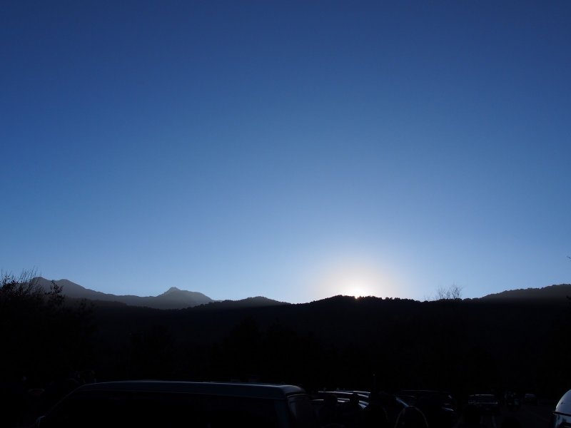 P1010075.jpg