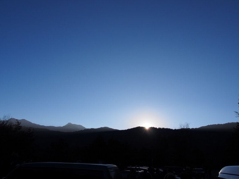P1010077.jpg