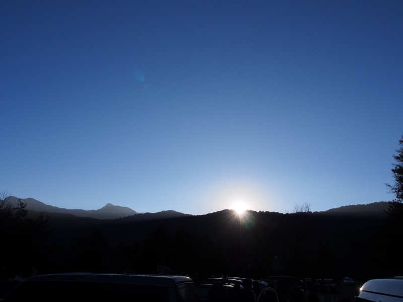 P1010078.jpg