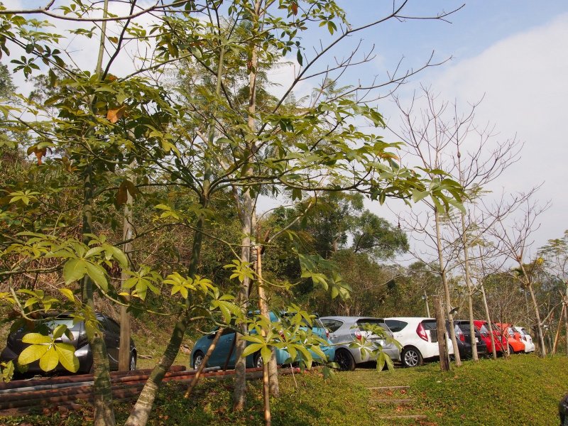 P1190447.jpg