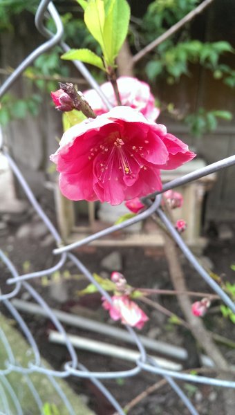 2014-02-16 10.18.25.jpg