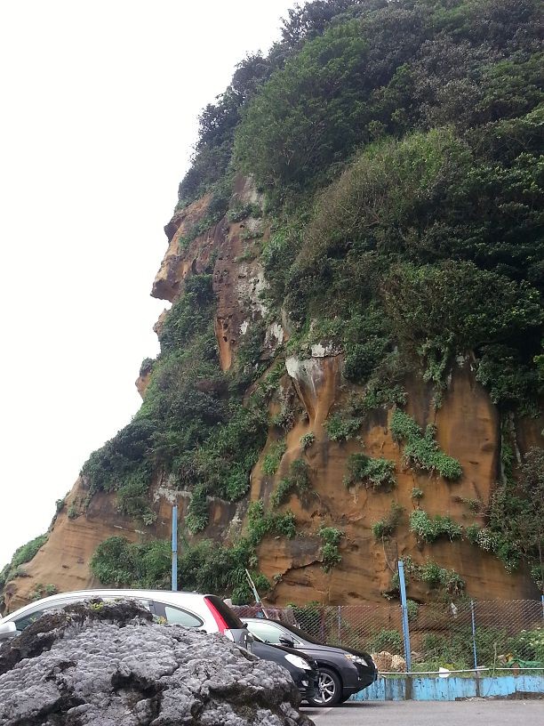 20140621_131231.jpg
