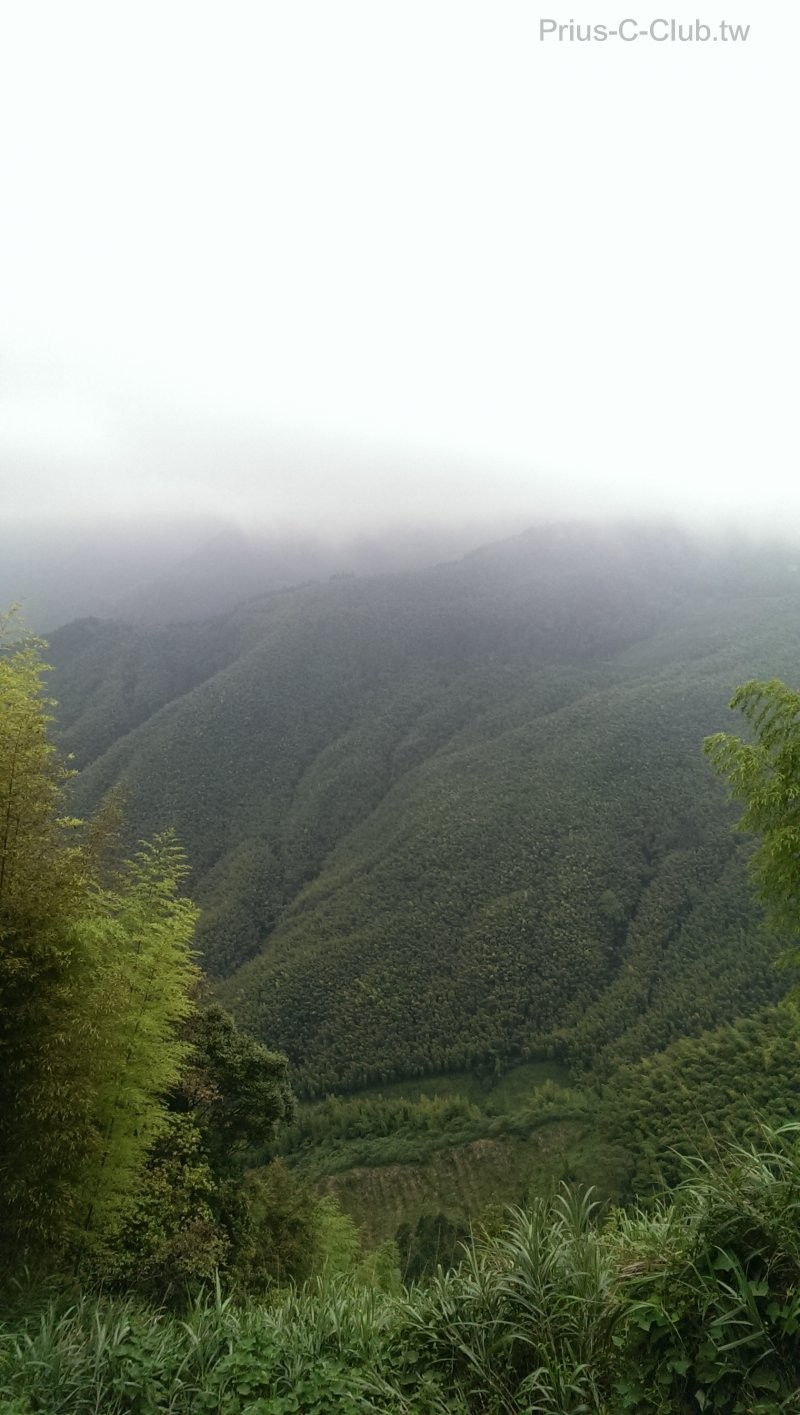 IMAG0694.jpg