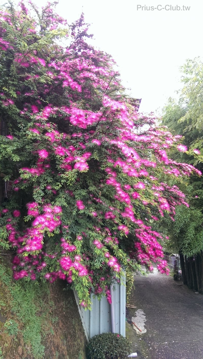 IMAG0695.jpg
