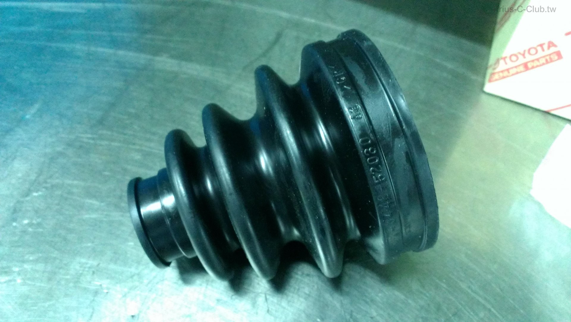 IMAG5112.jpg