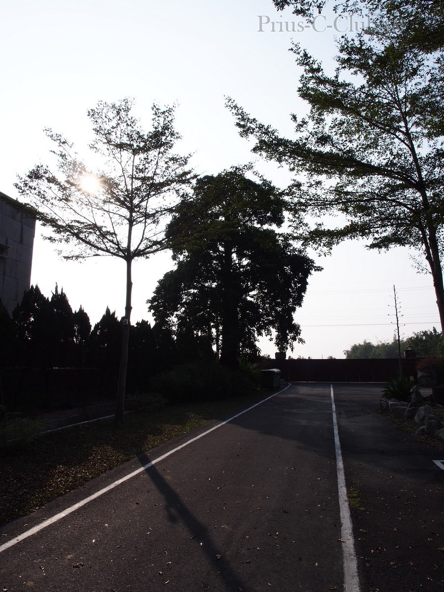 P1170828.jpg