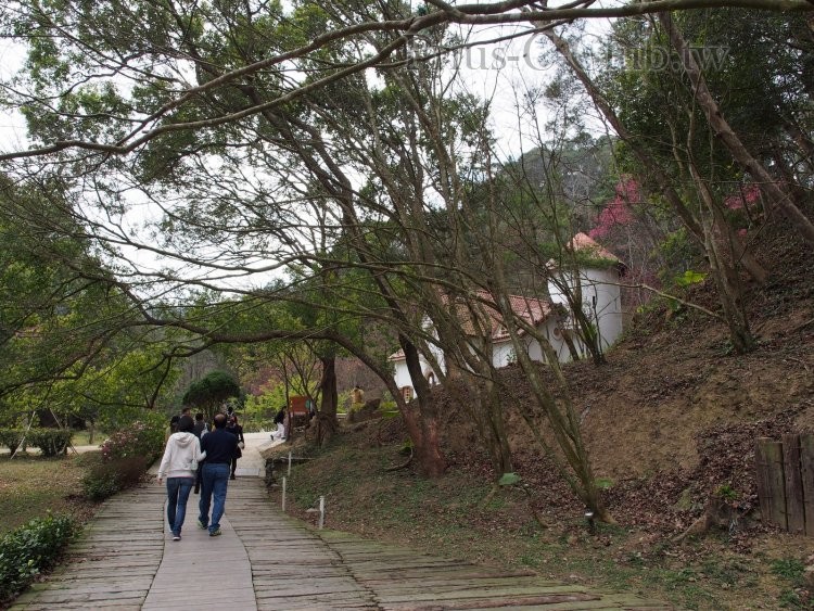 P2151145.jpg