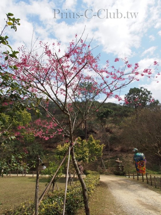 P2151148.jpg