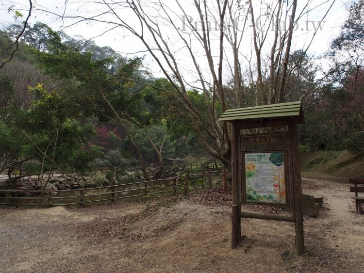P2151153.jpg
