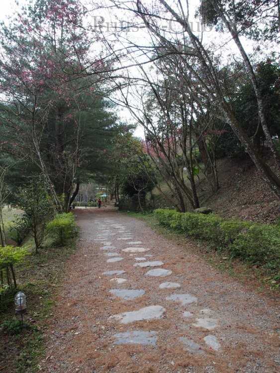 P2151154.jpg