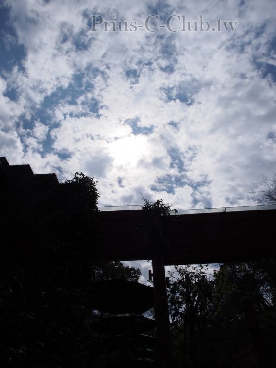 P2151165.jpg