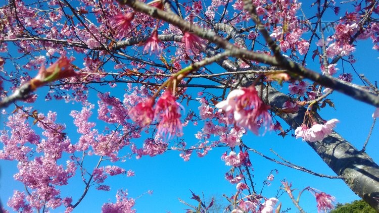 P_20150228_080809.jpg