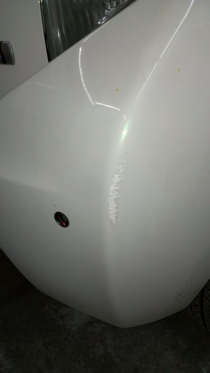 IMAG0968.jpg