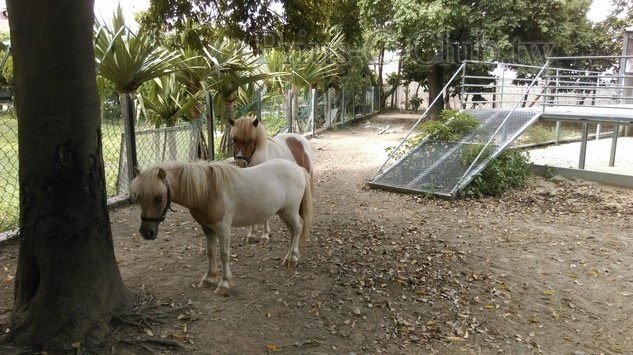 IMAG3216.jpg