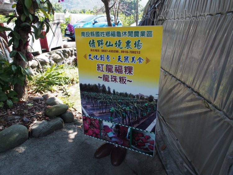 P1313193.jpg