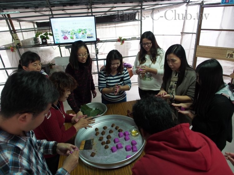 P1313232.jpg