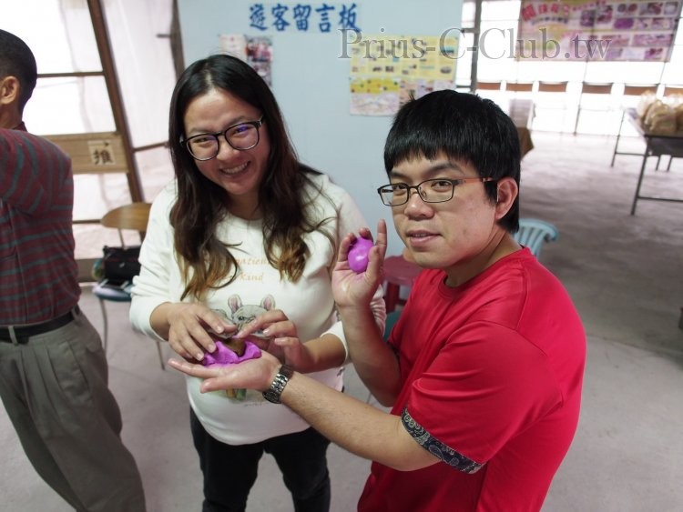 P1313238.jpg
