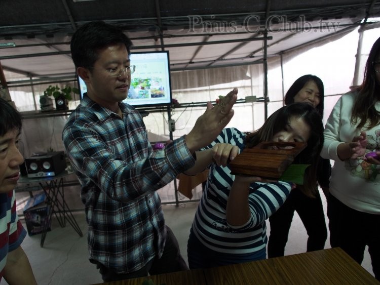 P1313254.jpg