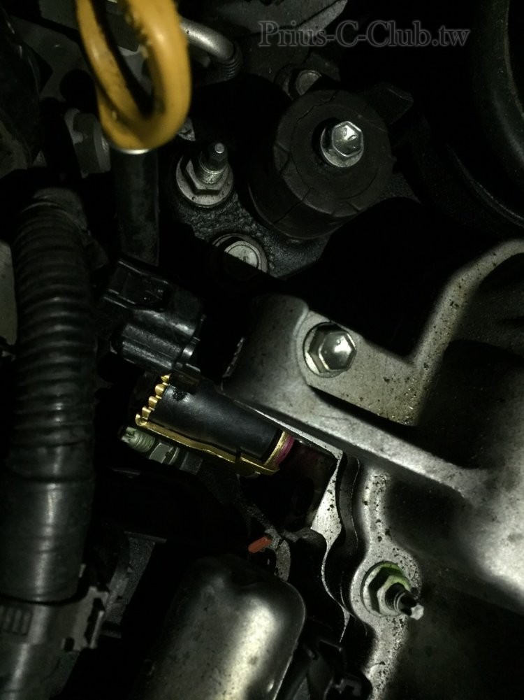 S__54001676.jpg